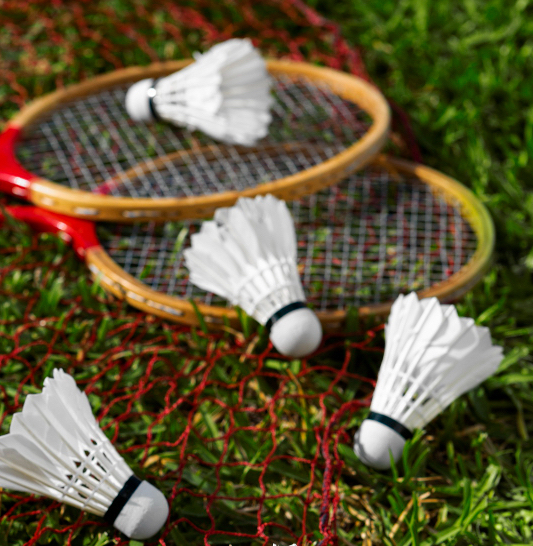 Badminton Basingstoke Enjoy badminton in Basingstoke at Beechdown.
